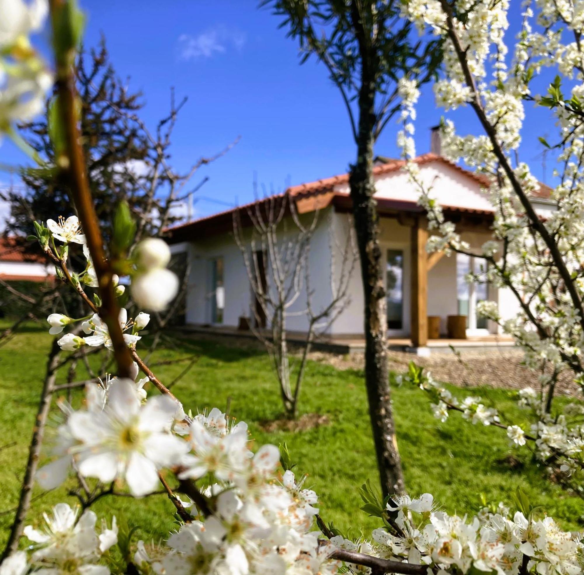 Ar Da Beira Belmonte (Castelo Branco) Exterior foto