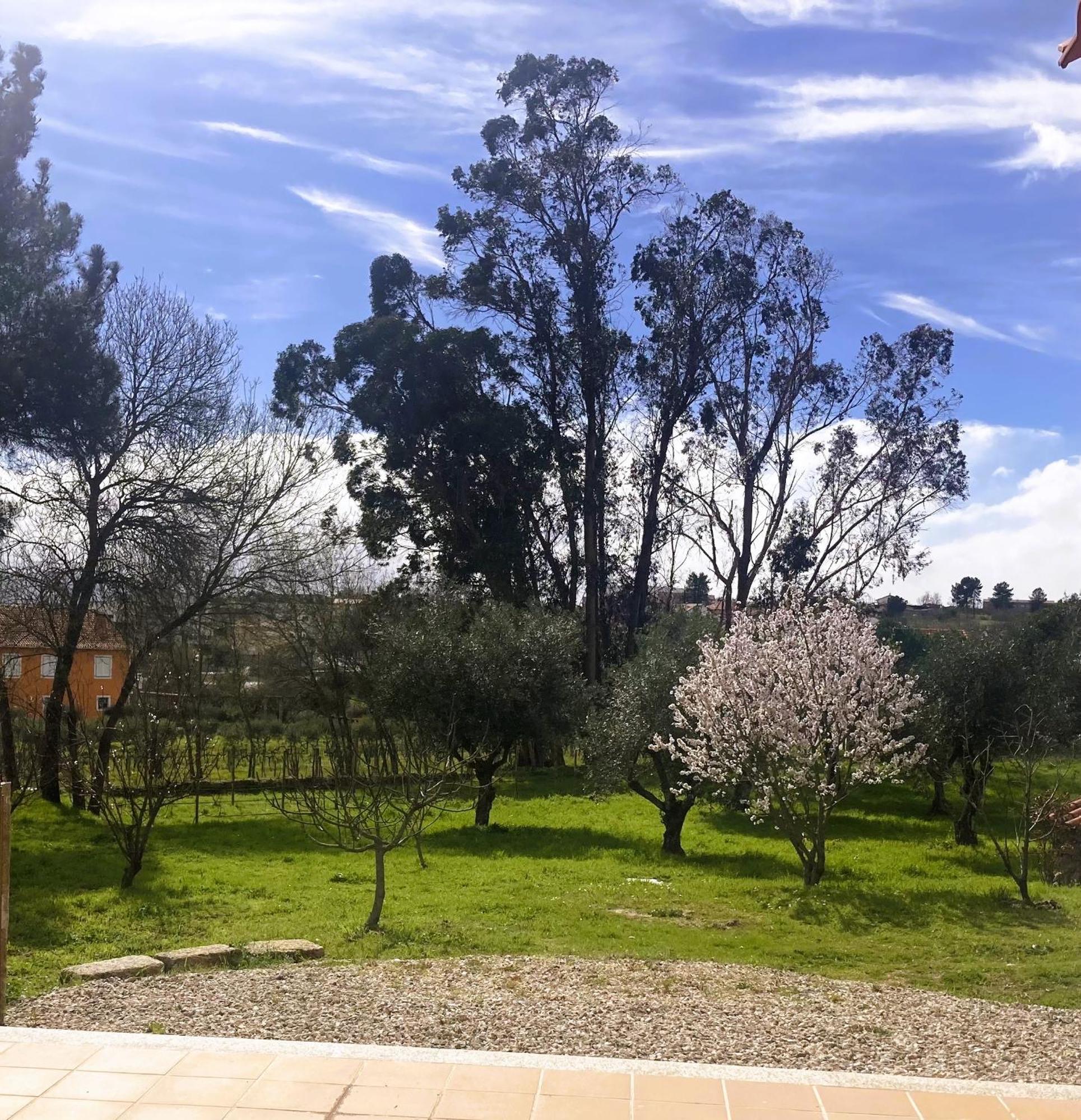 Ar Da Beira Belmonte (Castelo Branco) Exterior foto